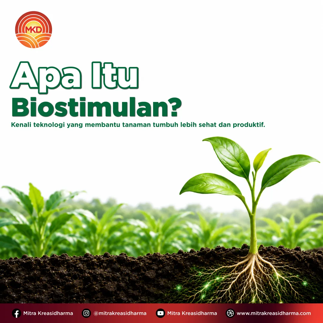 Biostimulan dan Nutrisi Tanaman: Kunci Mendukung Pertumbuhan dan Produktivitas Optimal