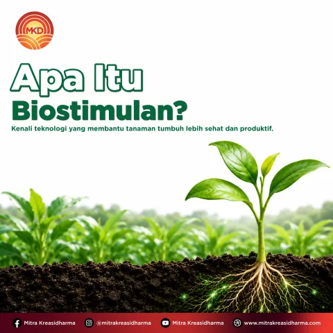 Biostimulants and Plant Nutrition: Key to Supporting Optimal Growth and Productivity