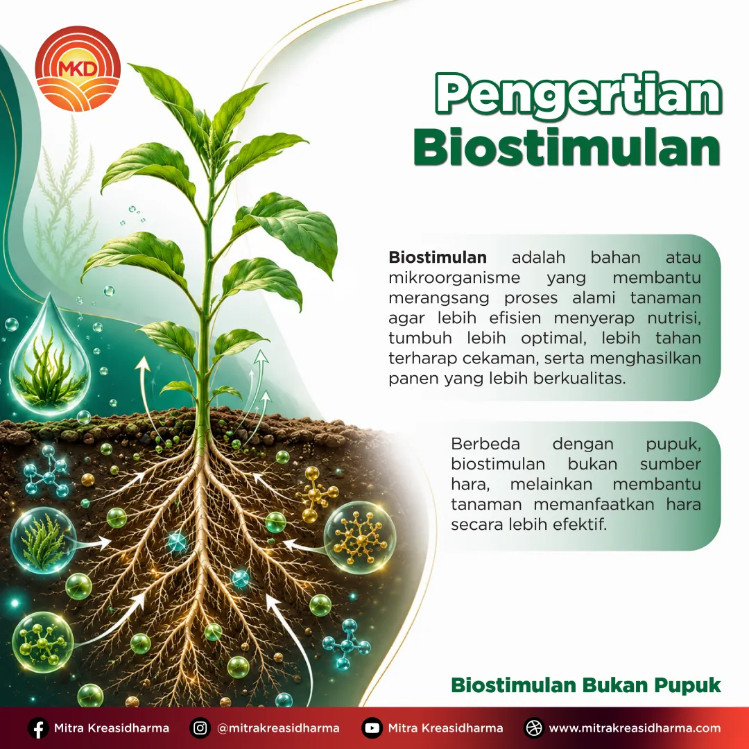 Biostimulan dan Nutrisi Tanaman: Kunci Mendukung Pertumbuhan dan Produktivitas Optimal