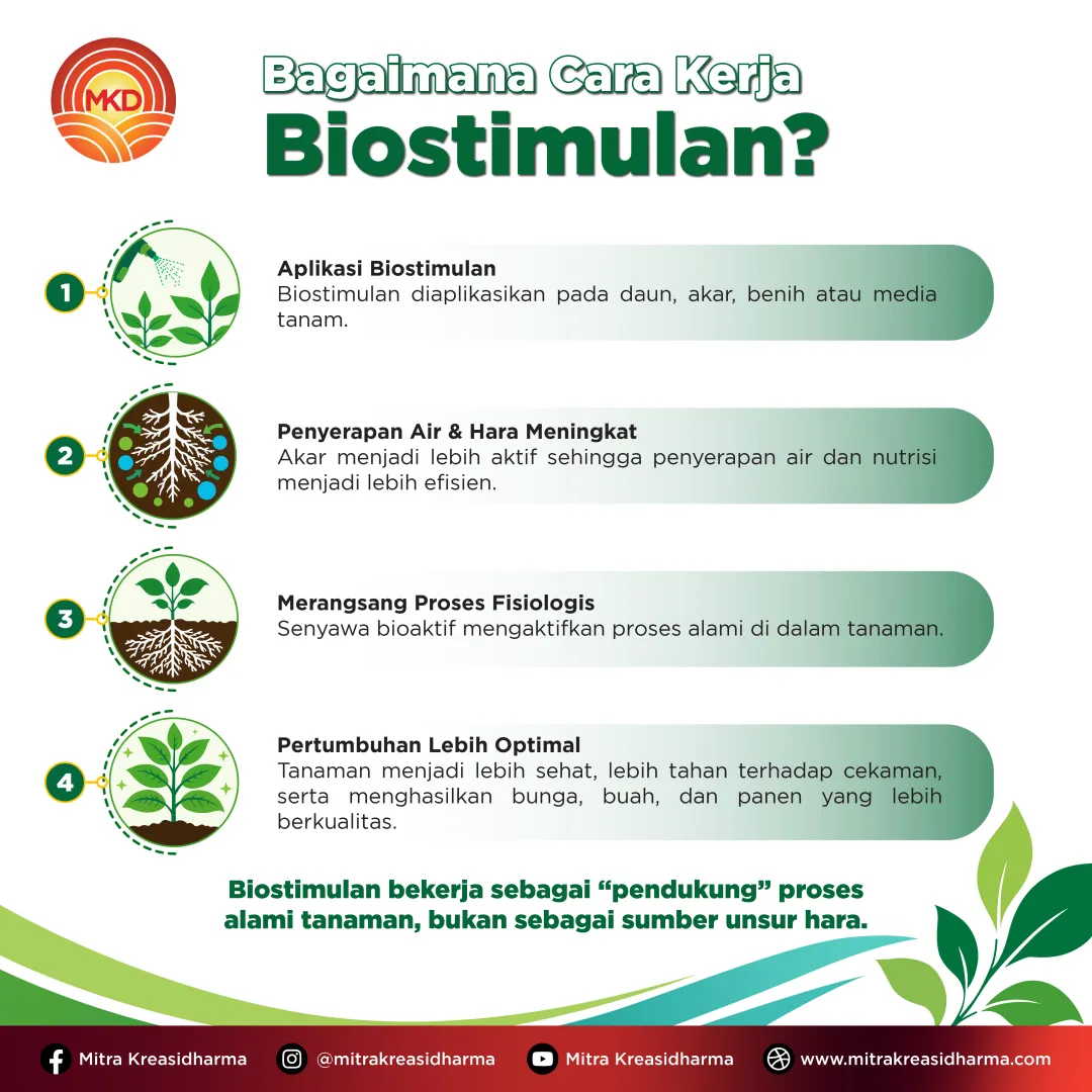 Biostimulan dan Nutrisi Tanaman: Kunci Mendukung Pertumbuhan dan Produktivitas Optimal