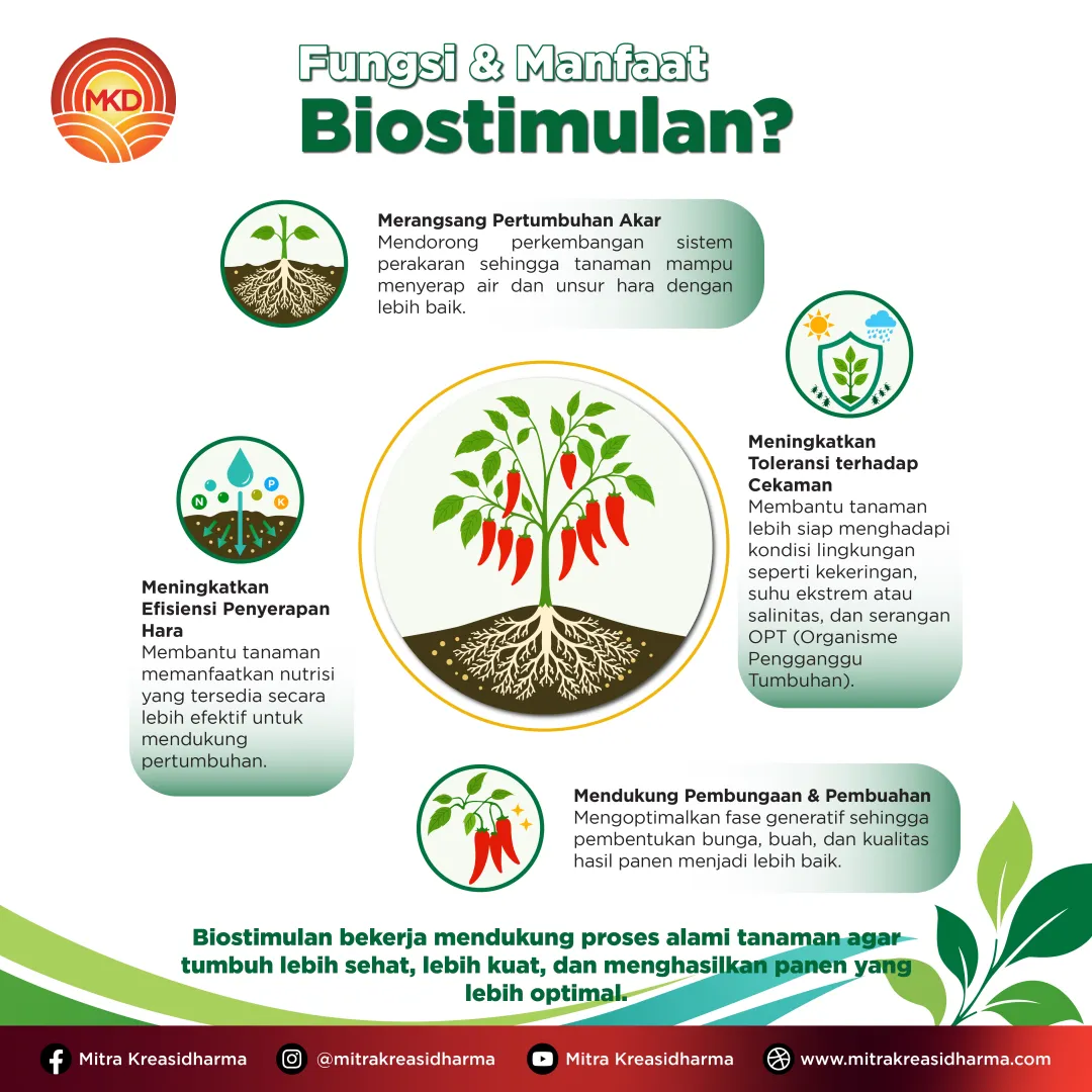 Biostimulan dan Nutrisi Tanaman: Kunci Mendukung Pertumbuhan dan Produktivitas Optimal