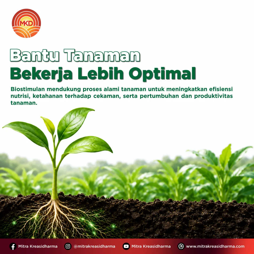 Biostimulan dan Nutrisi Tanaman: Kunci Mendukung Pertumbuhan dan Produktivitas Optimal