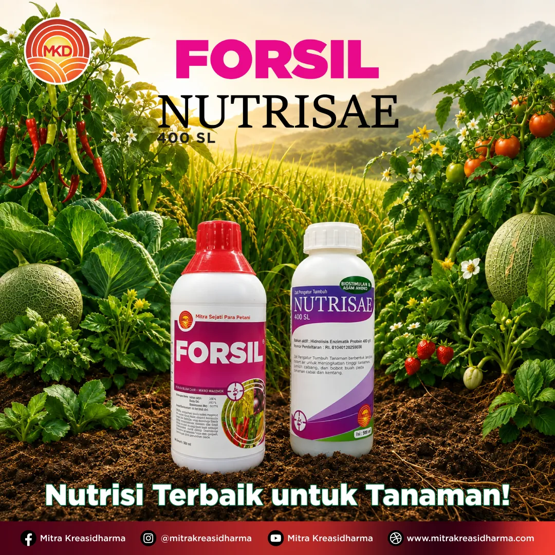 Biostimulan dan Nutrisi Tanaman: Kunci Mendukung Pertumbuhan dan Produktivitas Optimal