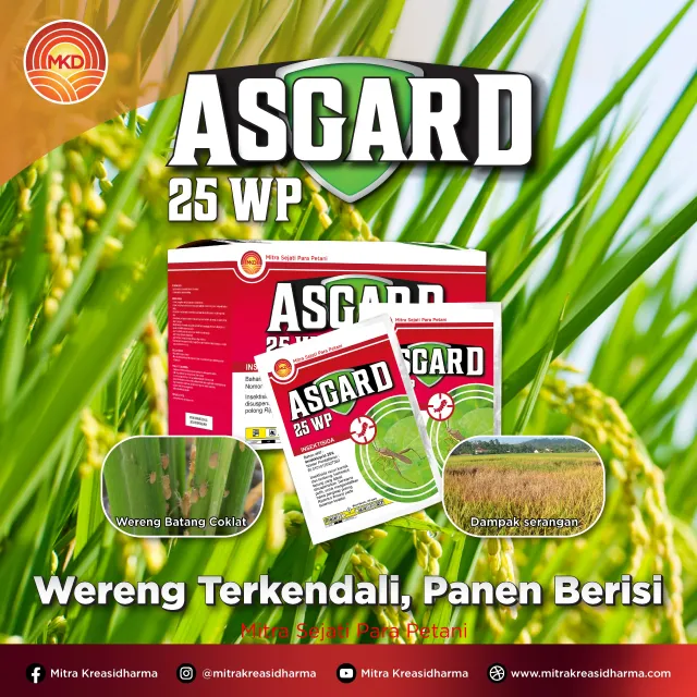 Kendalikan Hama Wereng Sejak Dini pada Tanaman Padi dengan ASGARD 25 WP