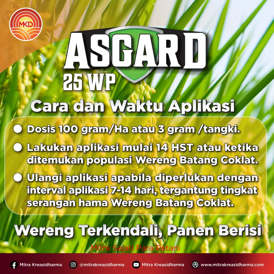 Kendalikan Hama Wereng Sejak Dini pada Tanaman Padi dengan ASGARD 25 WP