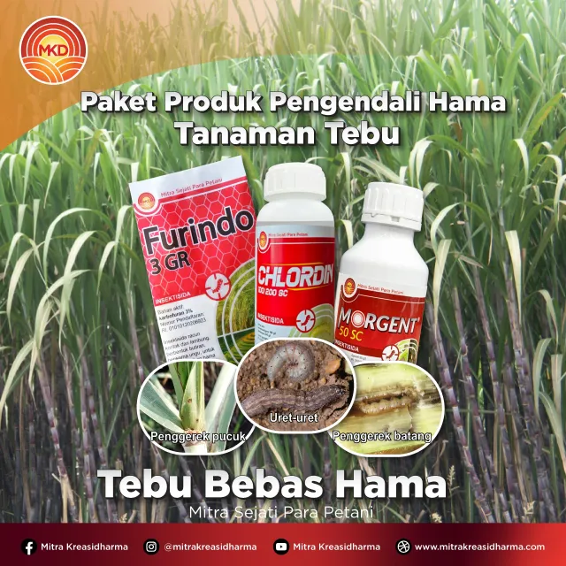 Paket Produk Pengendali Hama Tanaman Tebu