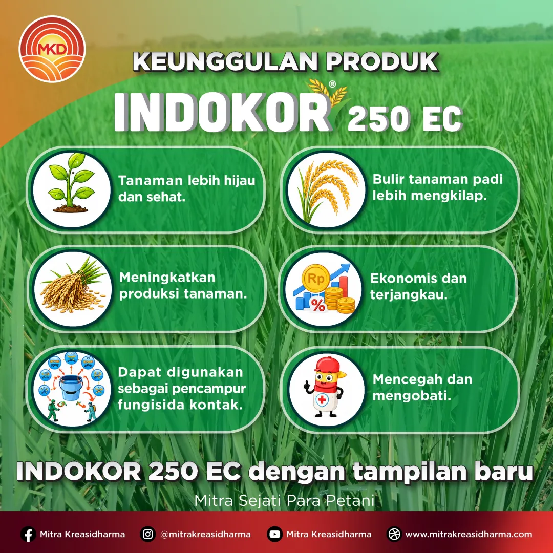 Indokor® 250 EC Tampil Baru, Perlindungan Padi Makin Mantap!