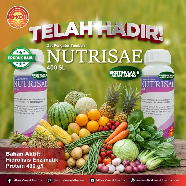 Kini Telah Hadir! NUTRISAE 400 SL: Inovasi untuk Meningkatkan Kualitas Hasil Panen