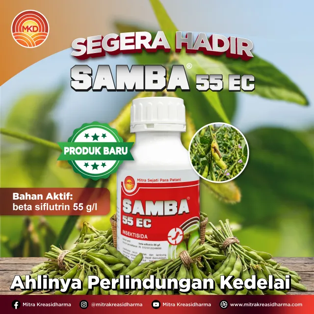 Lindungi Polong Kedelai dari Serangan Hama, SAMBA® 55 EC Segera Hadir!
