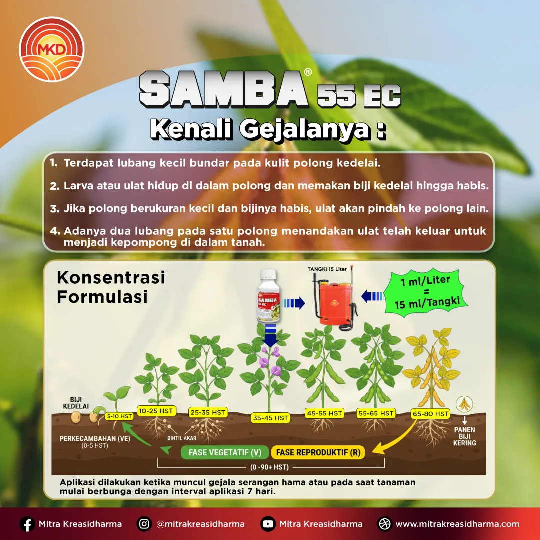 Lindungi Polong Kedelai dari Serangan Hama, SAMBA® 55 EC Segera Hadir!