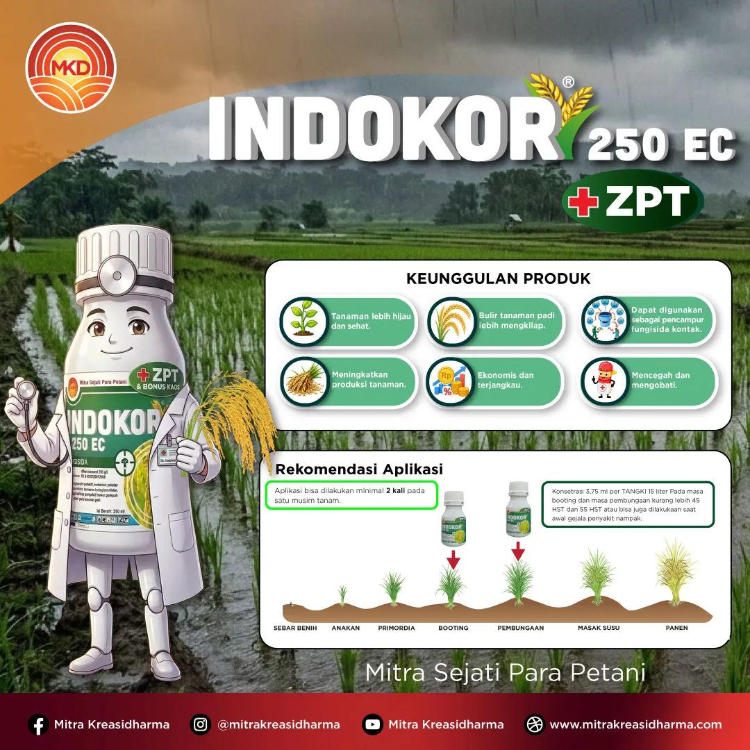 Waspada Hawar Pelepah di Musim Hujan, Lindungi Tanaman Padi dengan INDOKOR® 250 EC