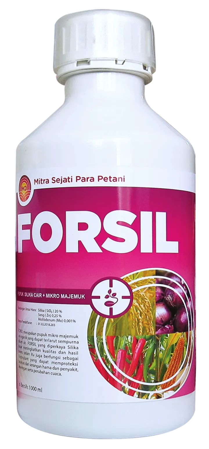 FORSIL