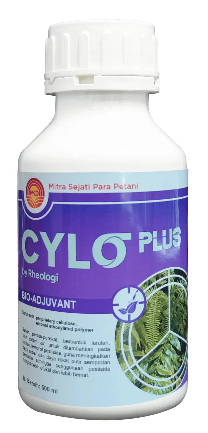 CYLO PLUS
